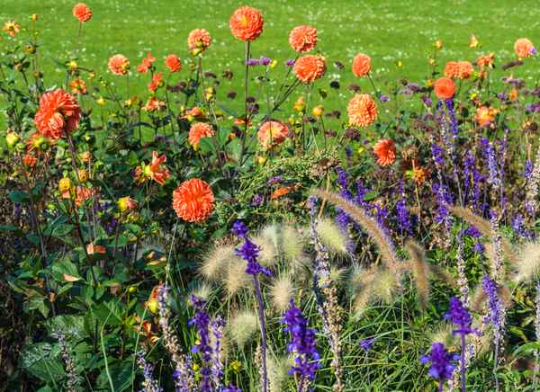 Herbstlicher Blumenmix