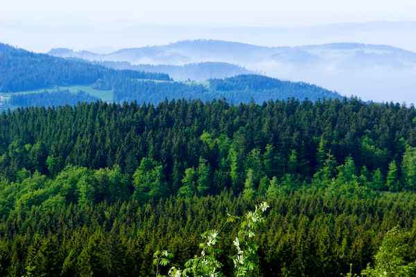 Fernsicht mit Vordergrund