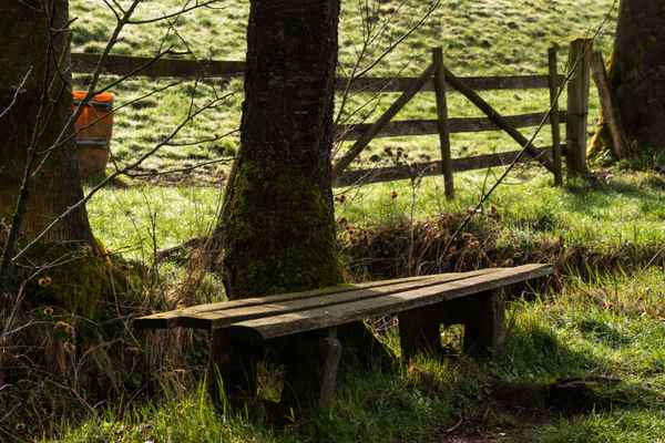 Rastplatz am Wanderweg
