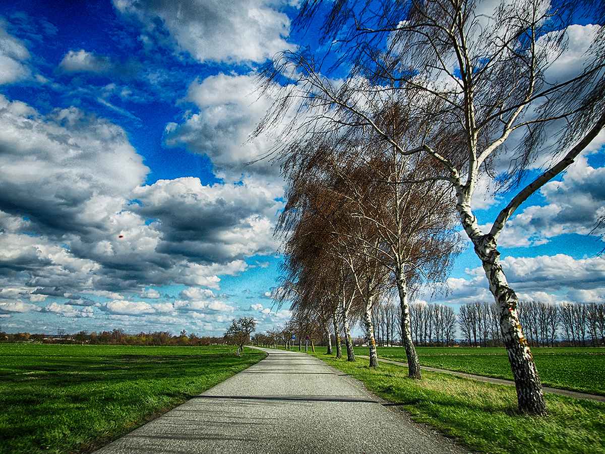 allee