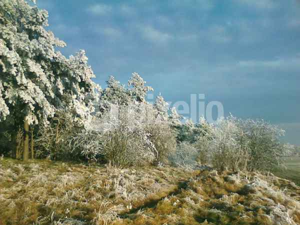 Feld und Wald
