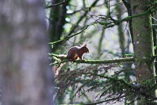 Eckstein...Eckstein..alles muß versteckt sein.