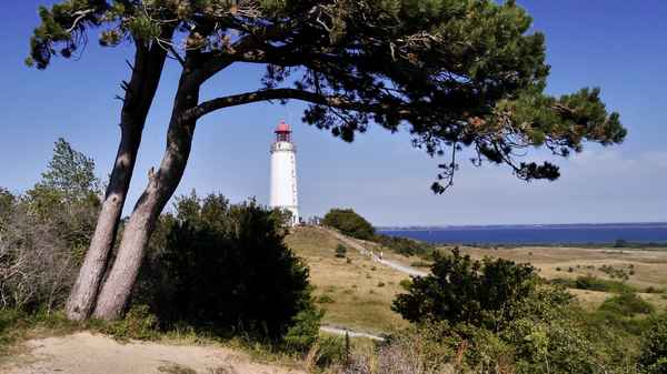 Leuchtturm auf dem Dornbusch 1