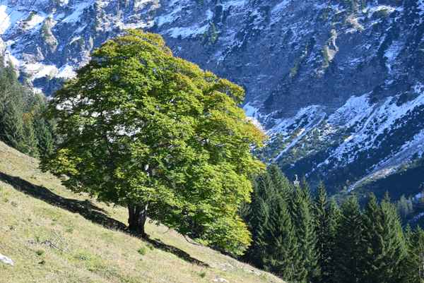 Herbst in den Bergen