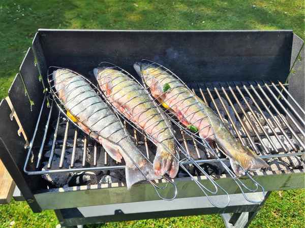 F(r)isch vom Grill