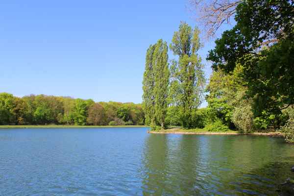 SONNTAGSSPAZIERGANG VI