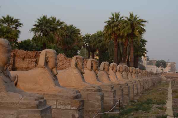 sphinxallee in luxor