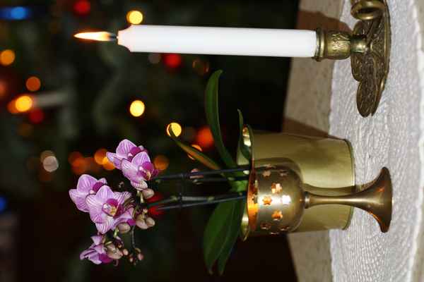 Kerzenschein und Orchidee