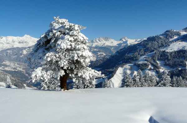 blick auf den rätikon