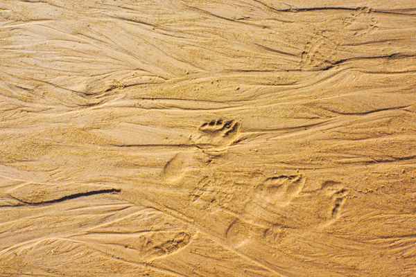 Spuren im Sand