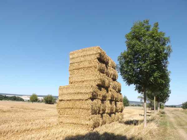 Strohballen am Wege