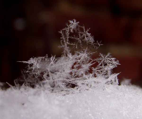 Fotoserie Schneeflocken