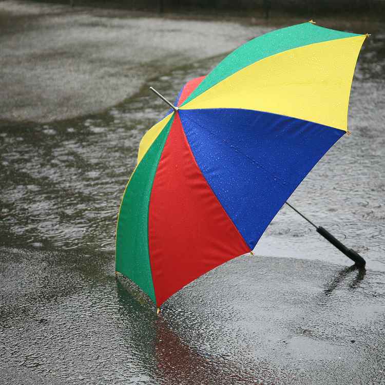 Ist das ein Sauwetter