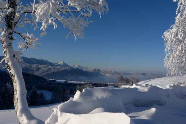 Februar-Schnee