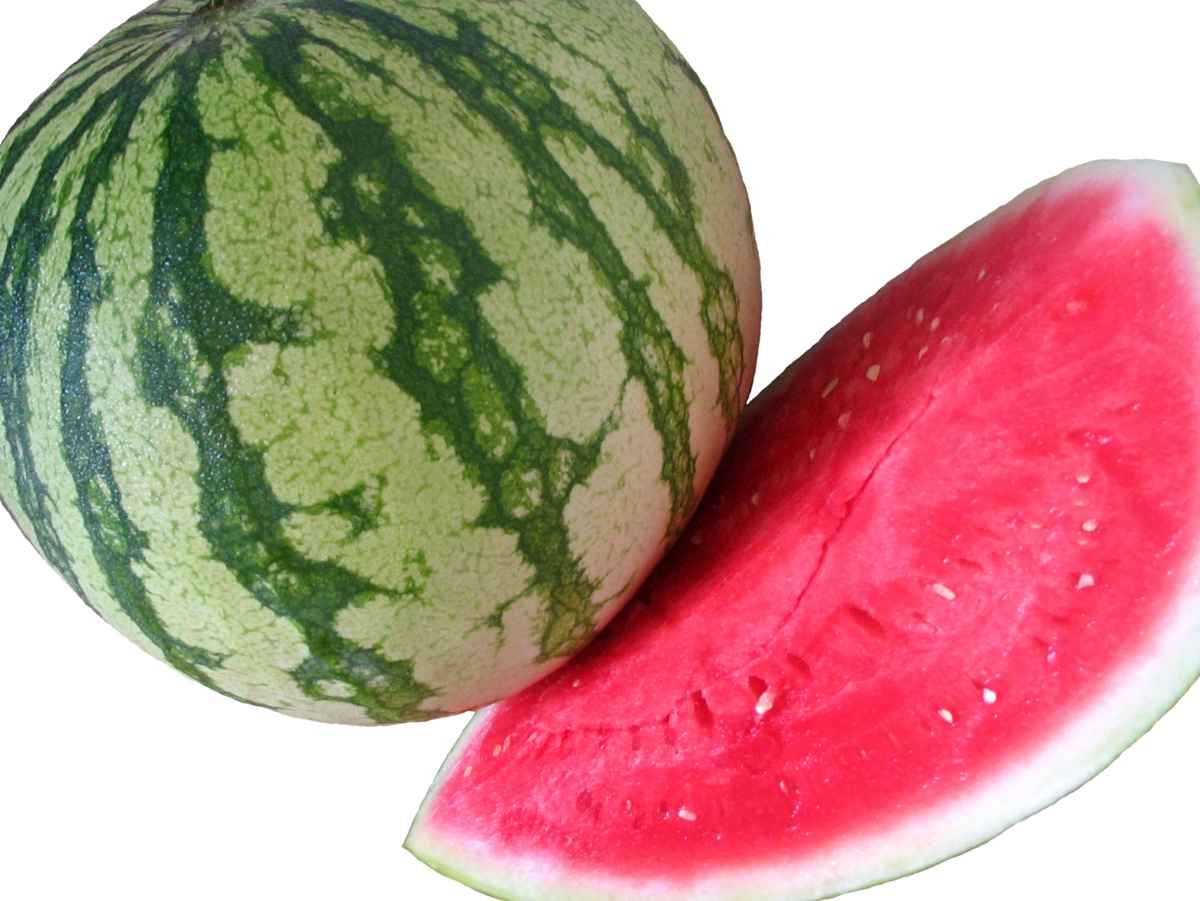 Melone 2