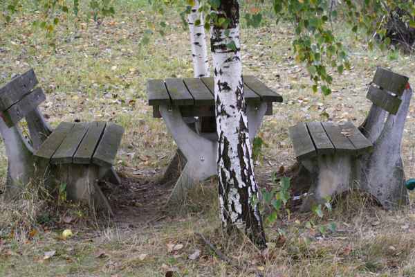 Rast unter den Birken...
