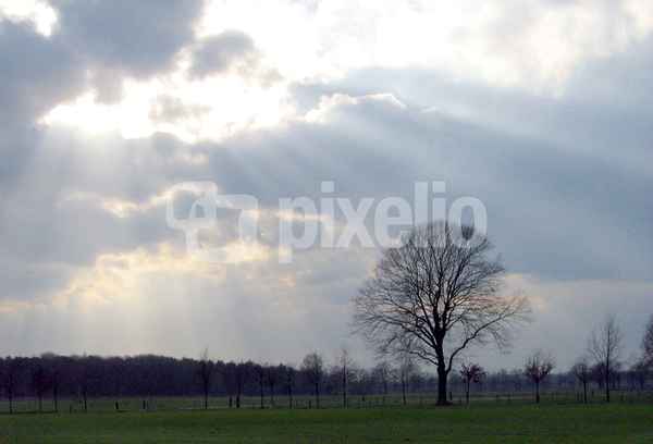 Februar 02
