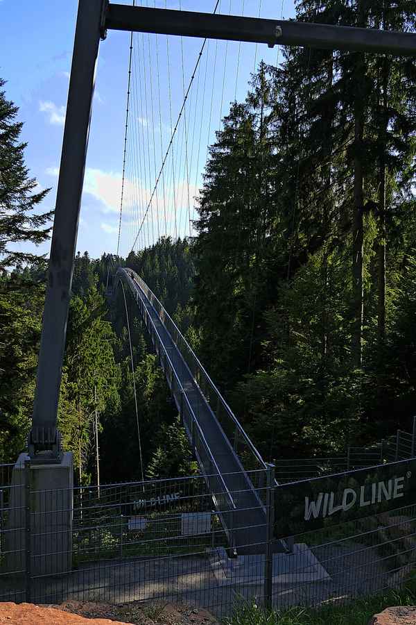 Wildline - Wackelbrücke