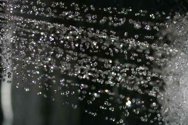 Wunder der Dusche