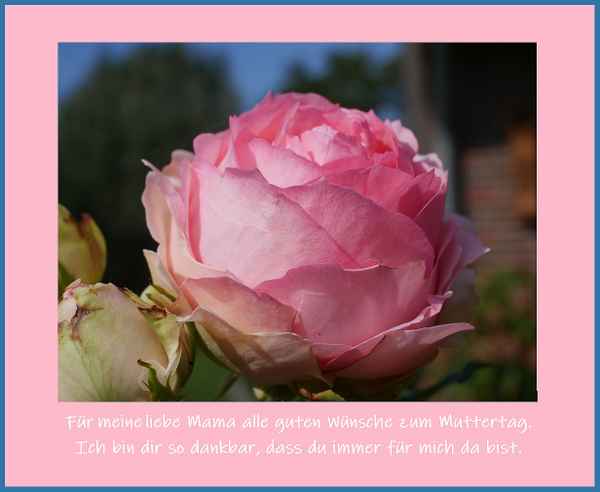 Muttertagswünsche