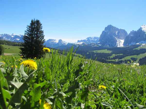 Seiser Alm