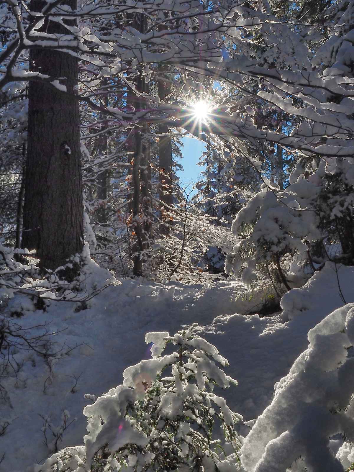 winterpracht