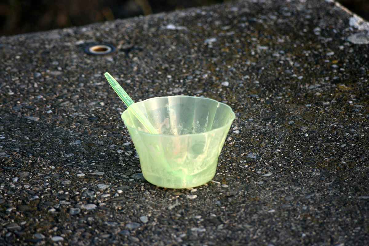 Frühlingsboten 9