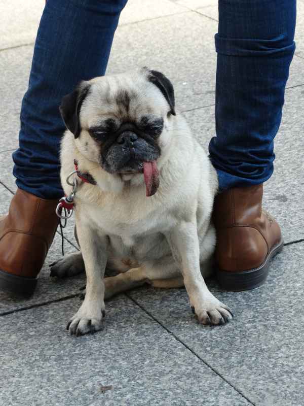 Ich kann nicht mehr!