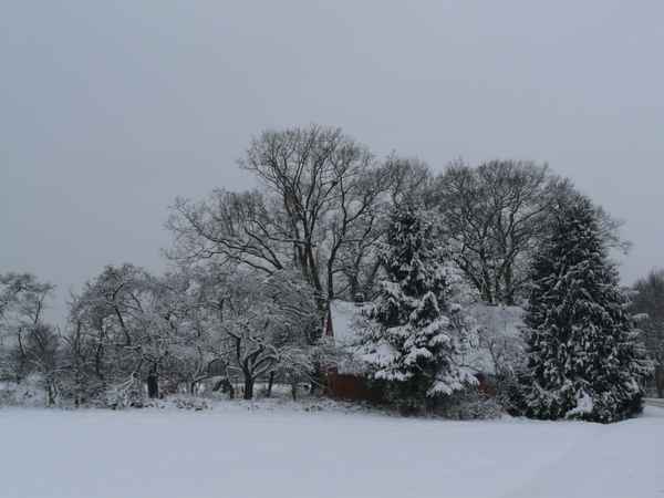 Eine winterliche Oase 03