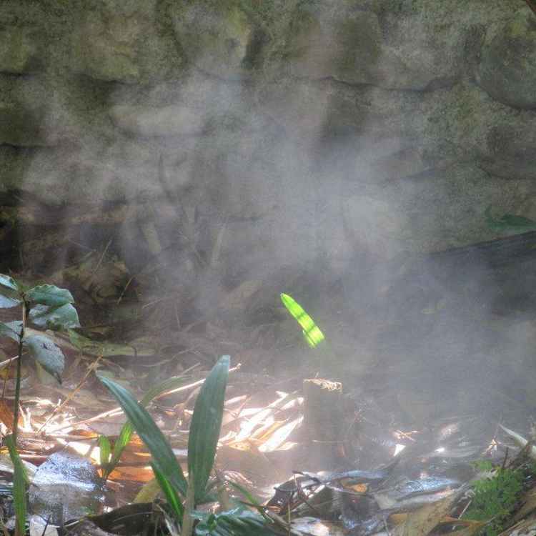 Wo Schatten ist, ist auch Licht