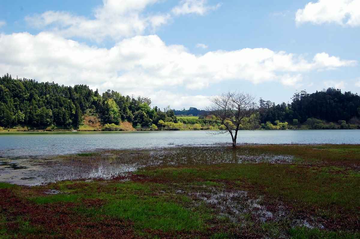 Lagoa das Furnas