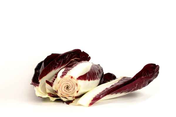 Radicchio 3