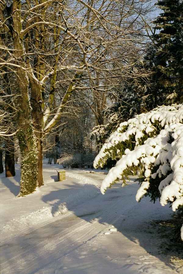 Winter ist so schön