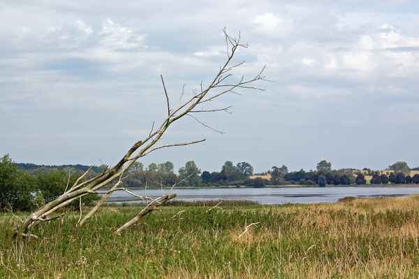 Der Nonnensee bei Bergen auf Rügen