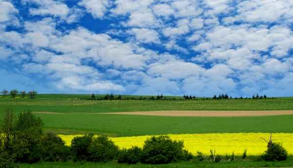 Feld und Flur