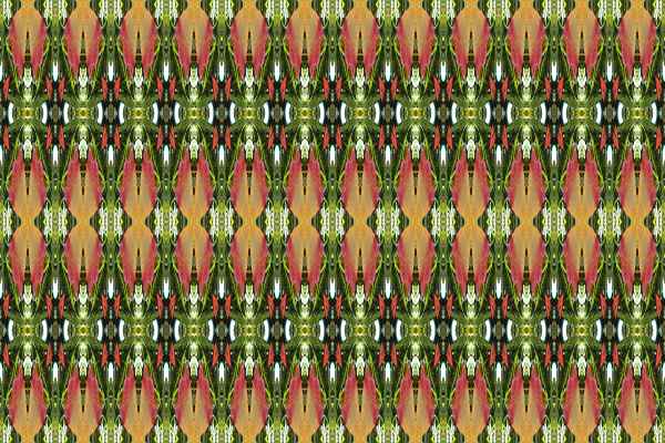 Hintergrund - oriental 1