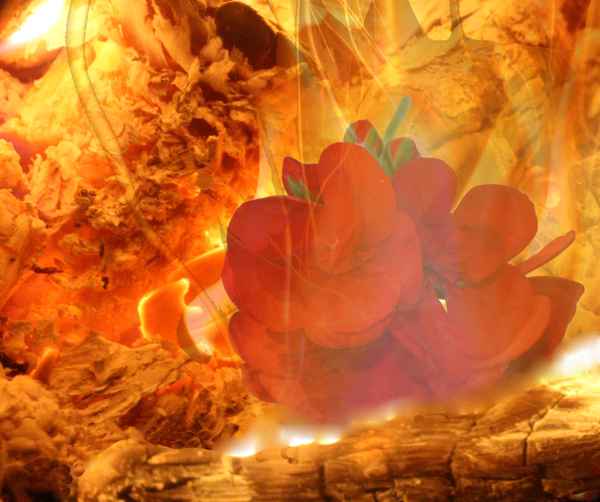Flammende Liebe