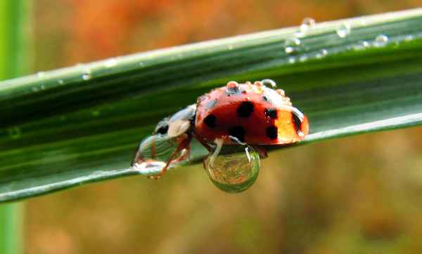 Badetag im Oktober