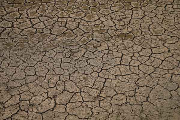 Wie wird der Sommer  2022 ?