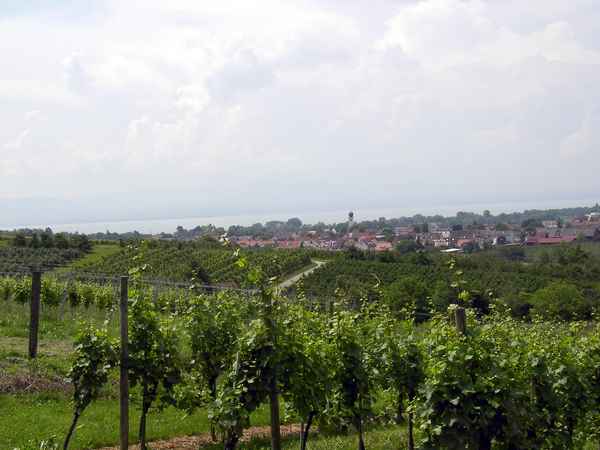 Blick auf Kressbronn/Bodensee