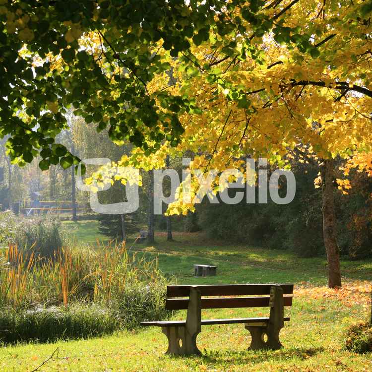 Herbst am Sandbühlsee_5