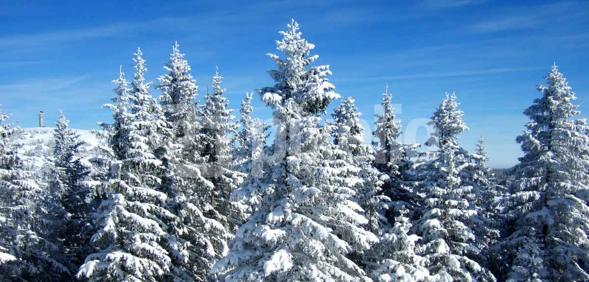Winterzauber am Feldberg