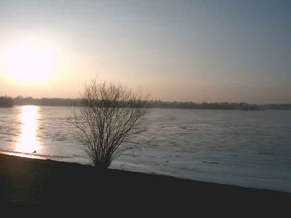Winterstimmung am See