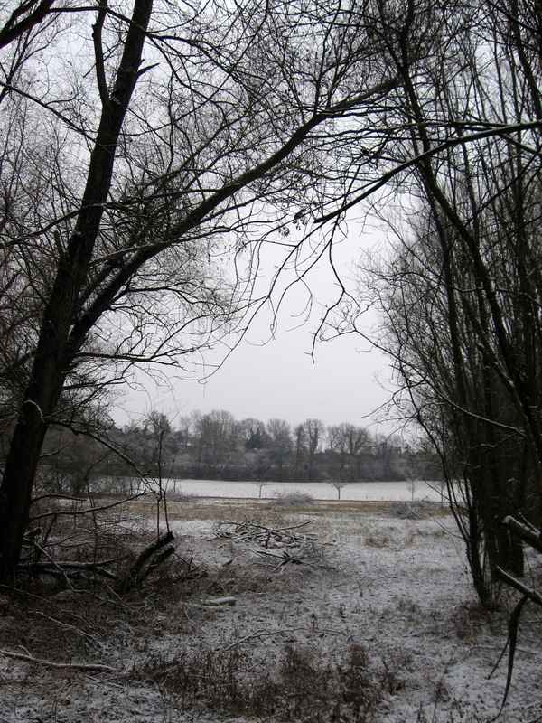 zwischen zwei Bäumen