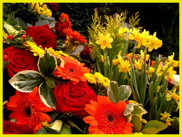 Rosen & Blumen