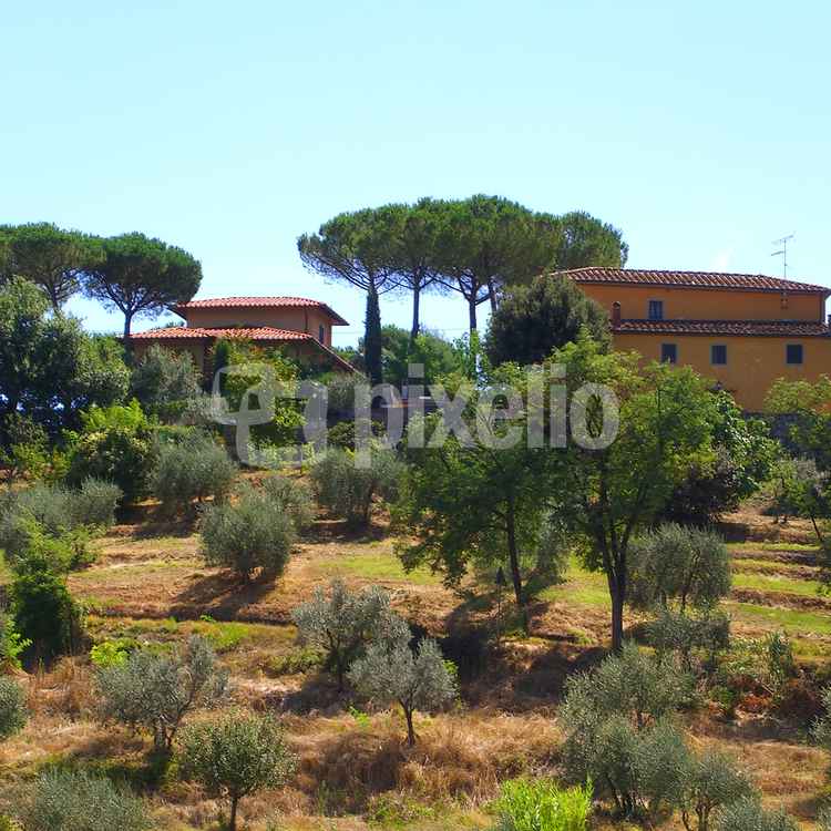 Toskana / San Baronto