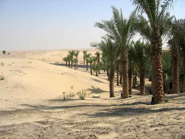 Bab Al Shams