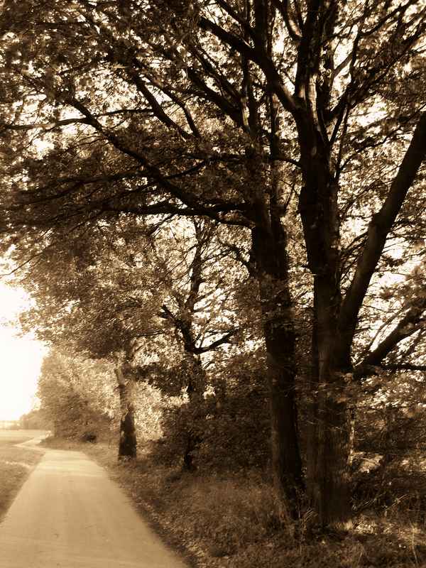Herbststraße