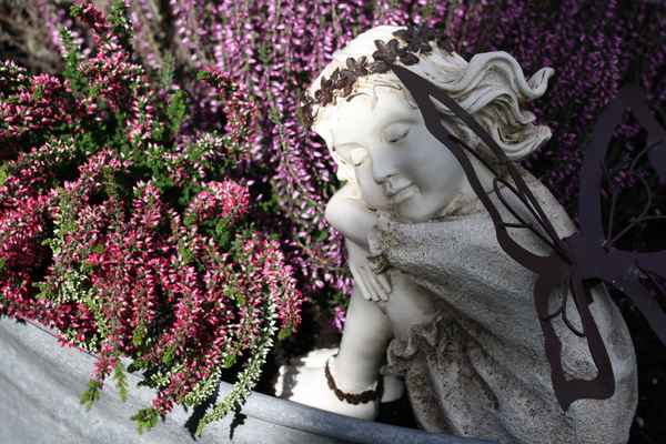 Blumenfee