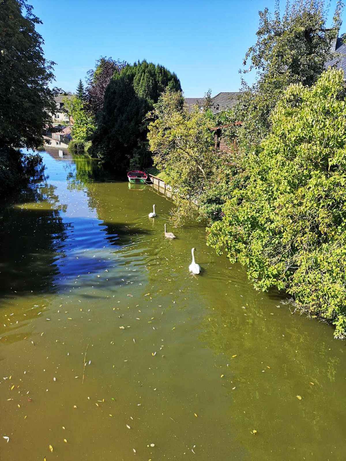 Blick von der Brücke